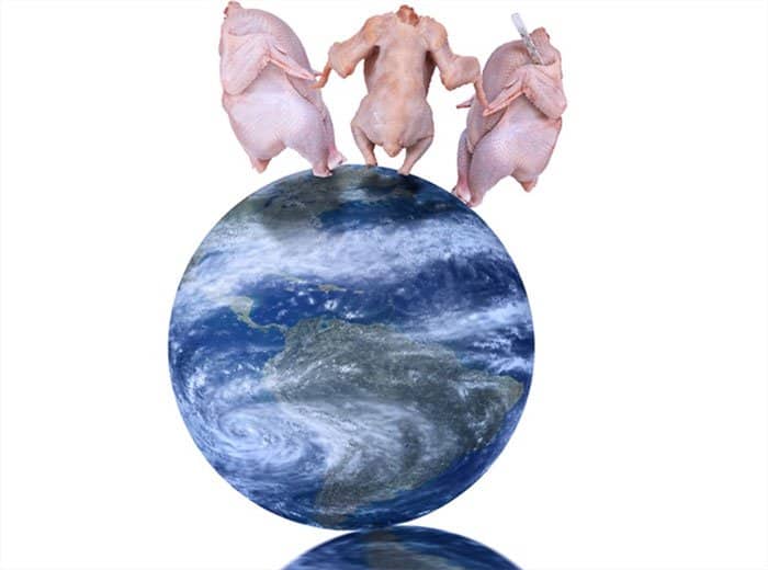dressed-chicken-dancing-on-top-of-the-world-weird-stock-photos.jpg